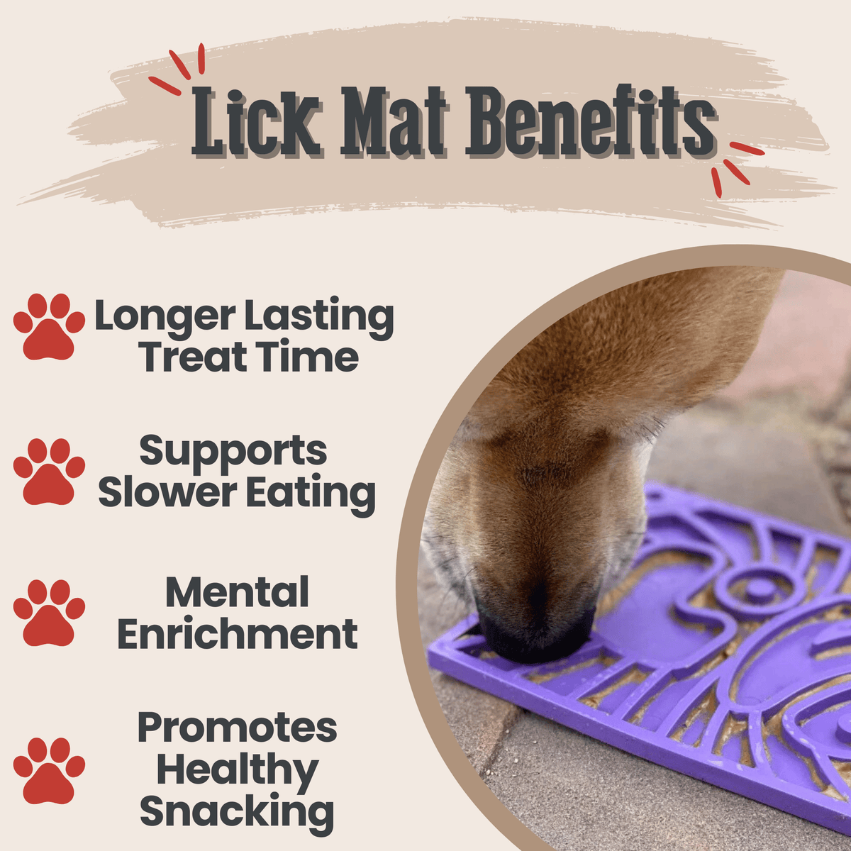 Lick Mats for Cats and Dogs