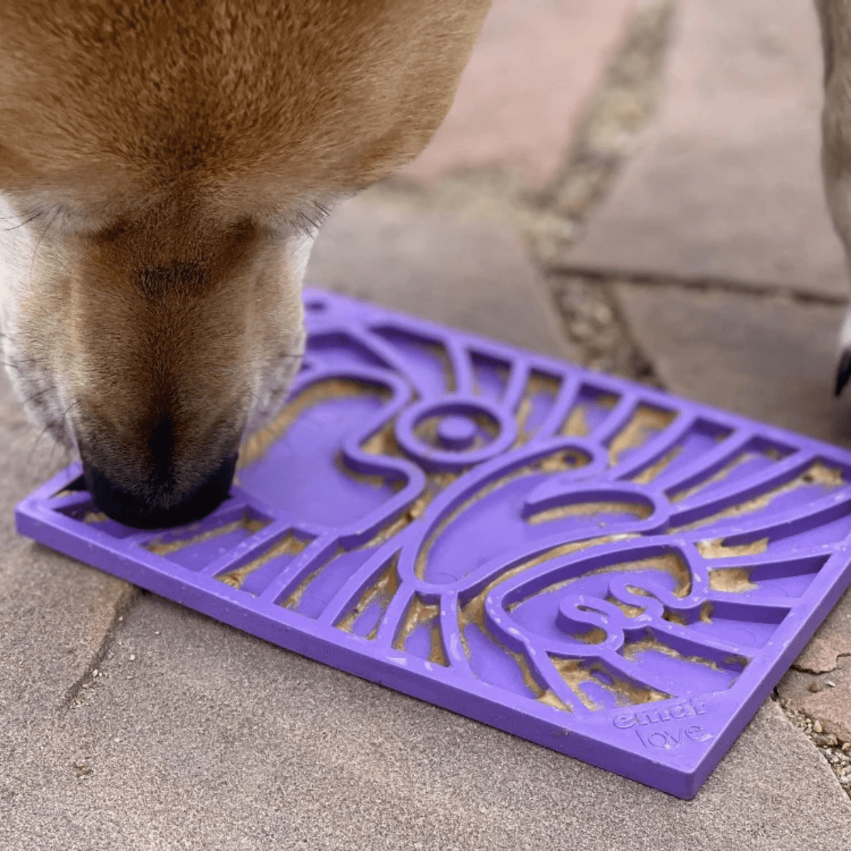 Lick Mats for Cats and Dogs