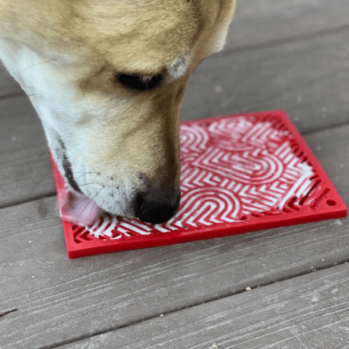 Lick Mats for Cats and Dogs