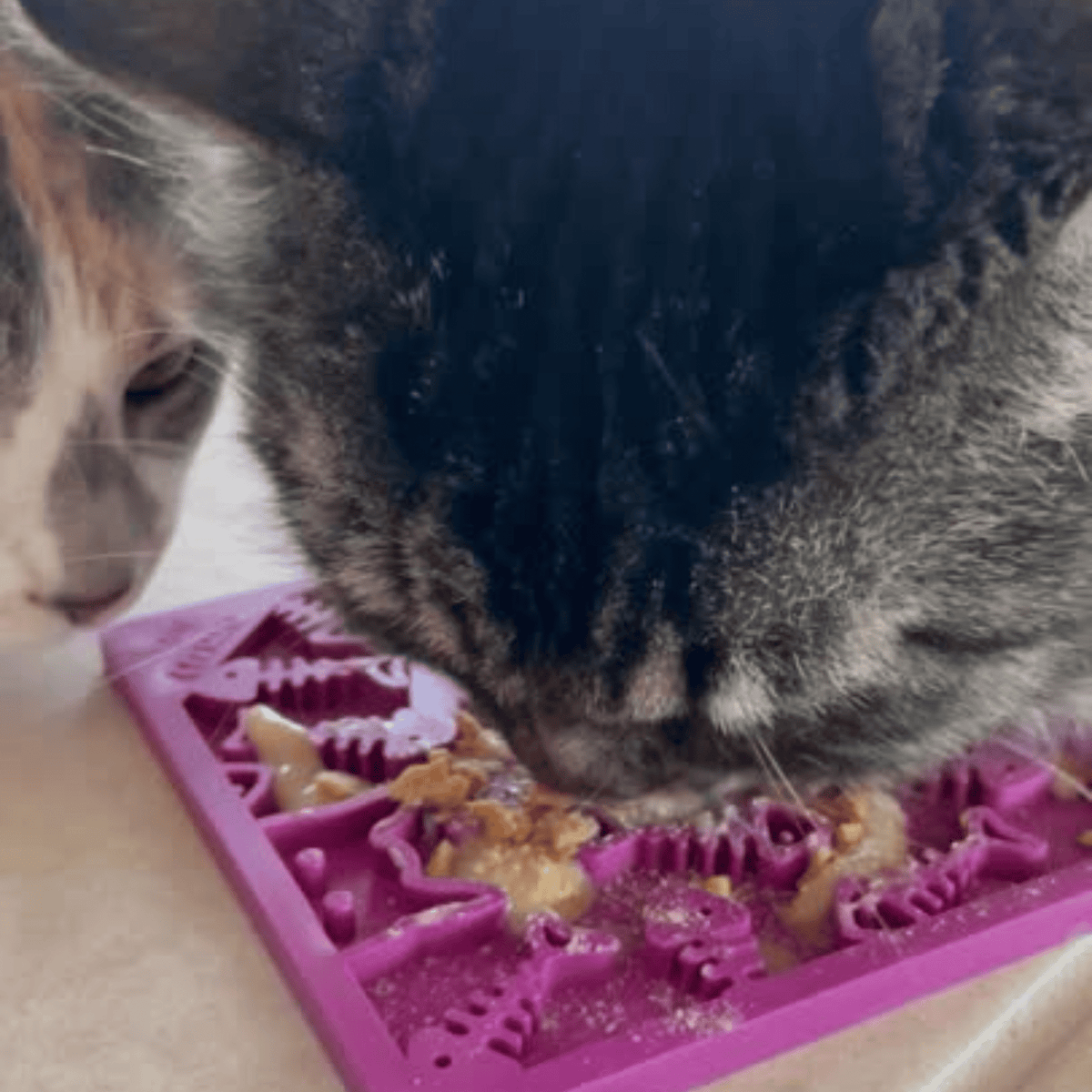 Lick Mats for Cats and Dogs