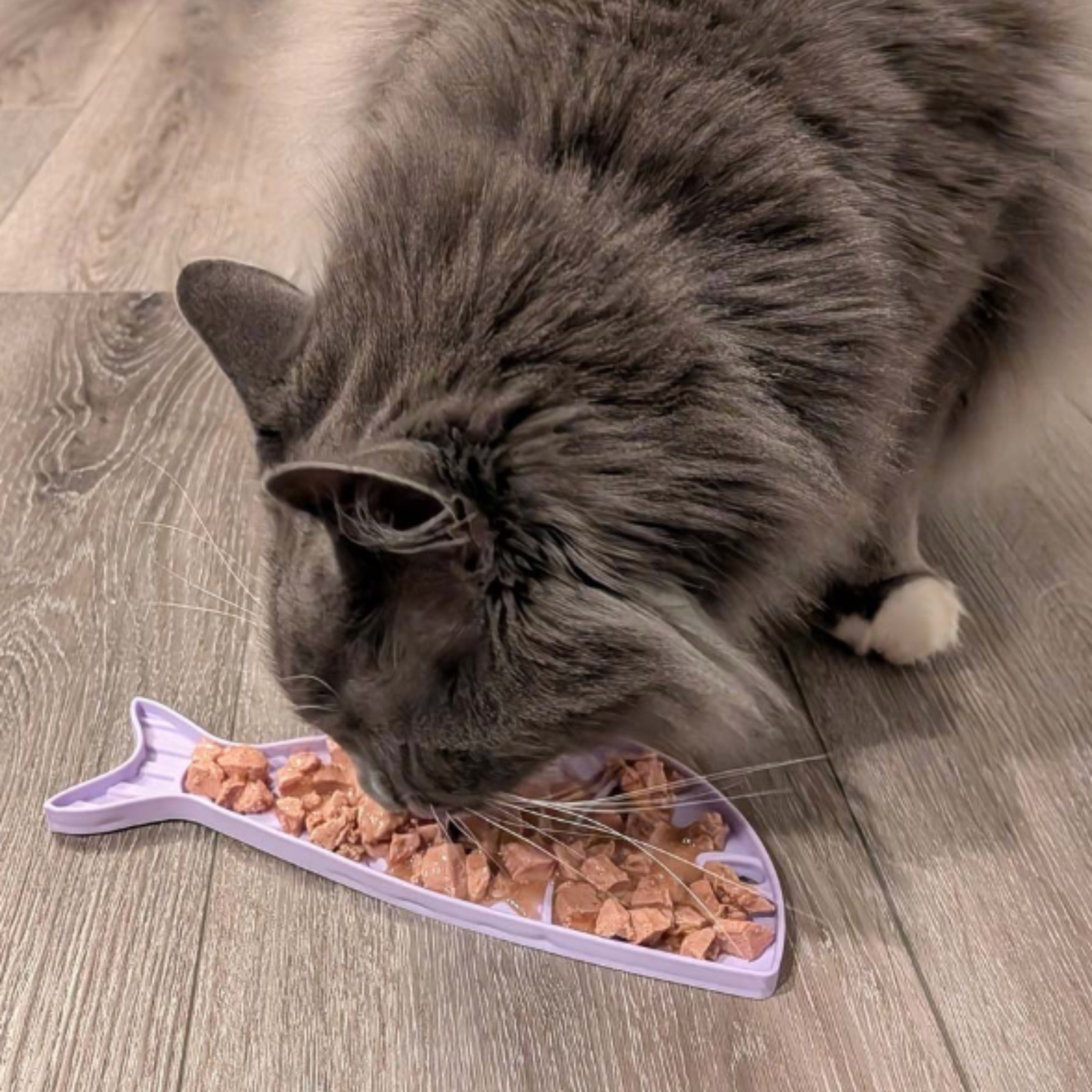 Lick Mats for Cats and Dogs