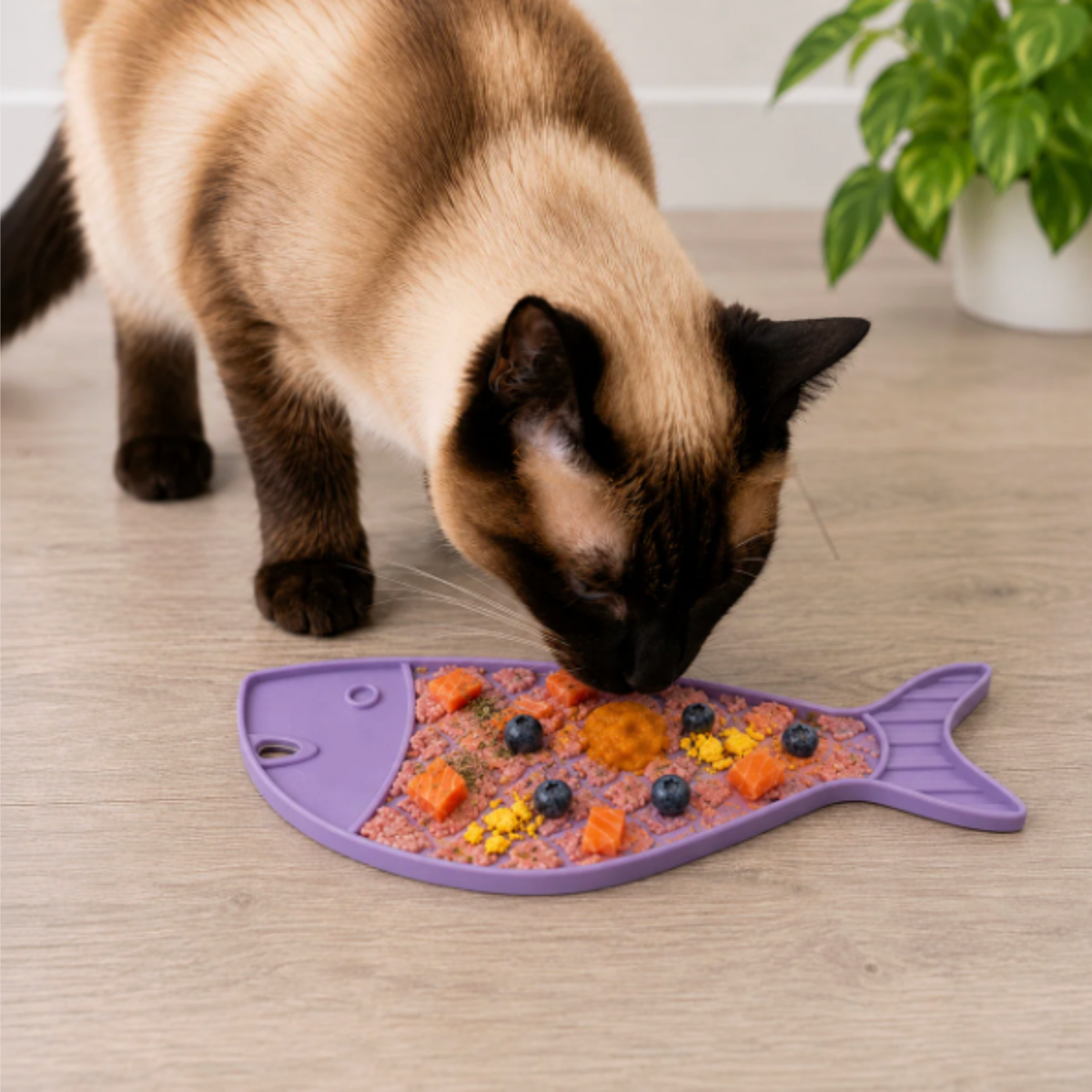 Lick Mats for Cats and Dogs