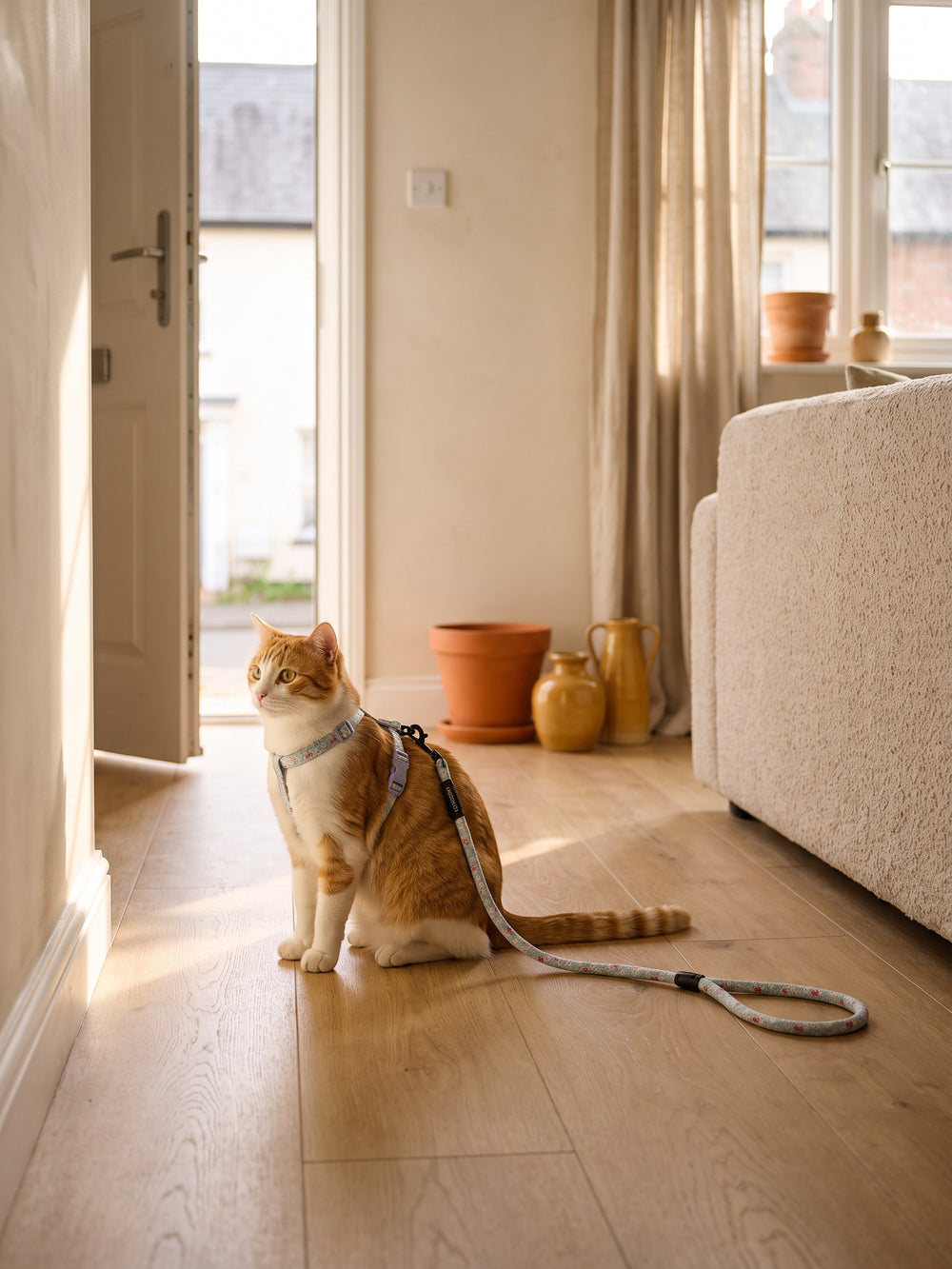 Pet Essentials